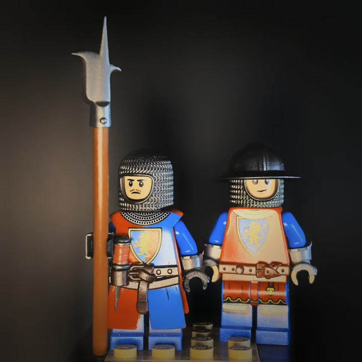 Soldier from the lion camp