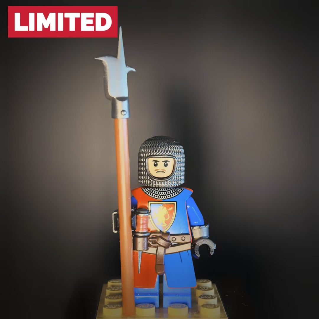 Soldier from the lion camp