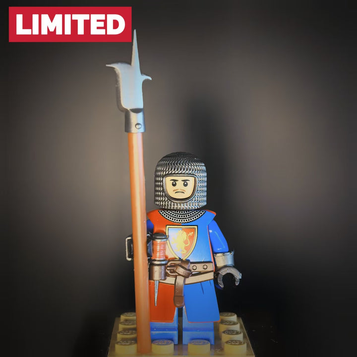 Soldier from the lion camp