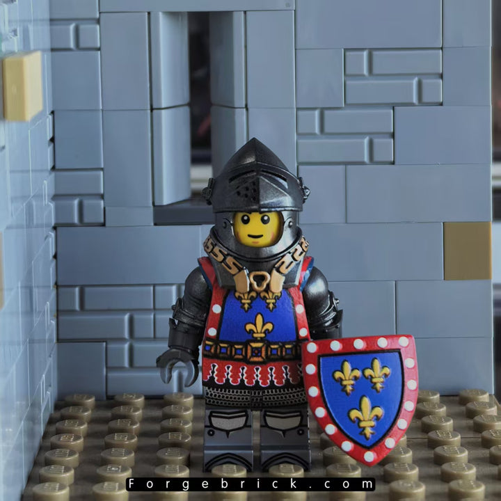 John Duke of Alencon 约翰 阿朗松公爵